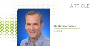 Addressing poultry feed cost and nutrition: 3 fundamental considerations