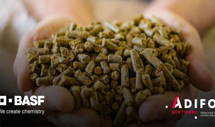 Adifo and BASF partner on a digital solution for sustainable feed production