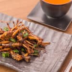 Adisseo, Entobel join forces on alternative insect protein development