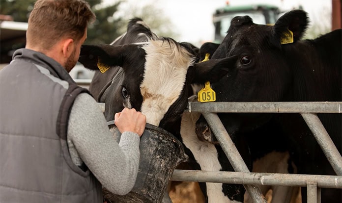 Adisseo launches partnership program for AA-balanced dairy nutrition