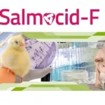 Adiveter announces the available of Salmocid-F in Southwestern Asiatic market