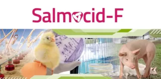 Adiveter announces the available of Salmocid-F in Southwestern Asiatic market