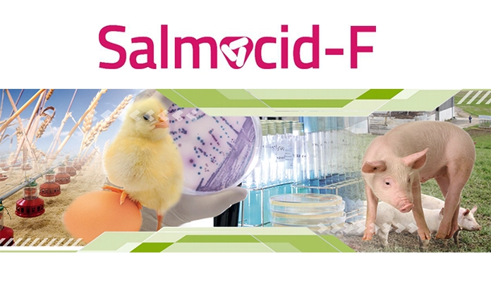Adiveter announces the available of Salmocid-F in Southwestern Asiatic market