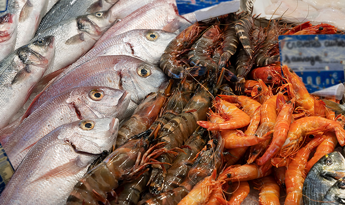 After a turbulent 2023, signs of optimism ahead for global seafood production