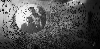 Agroloop and FreezeM partner for world's first decoupled BSF protein facility