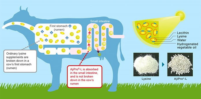 Ajinomoto Co. and Danone sign MoU to reduce greenhouse gases