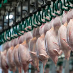 Akola Group plans €13 million poultry investment across Lithuania and Latvia