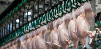 Akola Group plans €13 million poultry investment across Lithuania and Latvia
