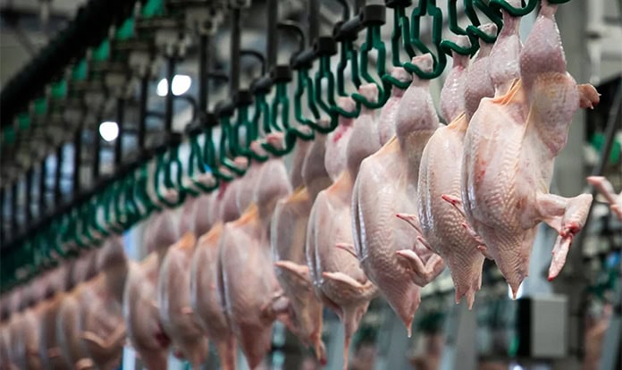 Akola Group plans €13 million poultry investment across Lithuania and Latvia