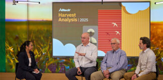 Alltech Analysis Reveals 2025 Mycotoxin Risk Patterns