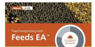 Feeds EA model for feed footprint