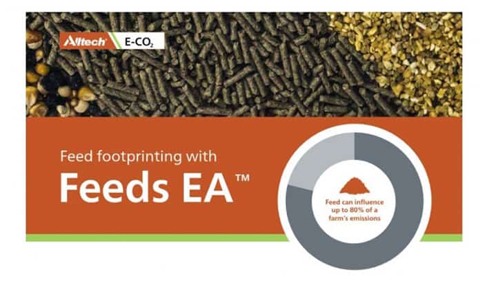 Feeds EA model for feed footprint