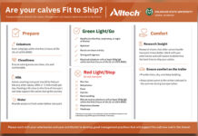 Alltech and CSU launch bilingual calf transport poster