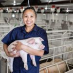 Alltech introduces its new swine product Triad