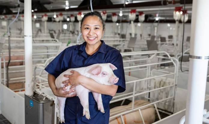 Alltech introduces its new swine product Triad