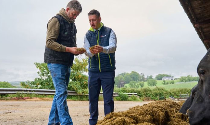 Alltech introduces next-gen mycotoxin binders