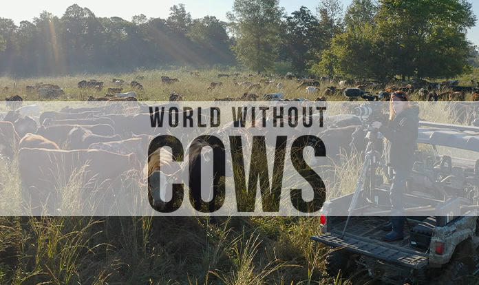 Alltech launches new entity to advance agricultural storytelling