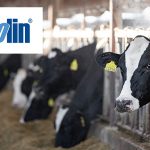 Alltech sells Agolin products in the US and Canada