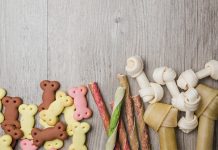 AlphaPet acquires UK-based premium dog treat brand