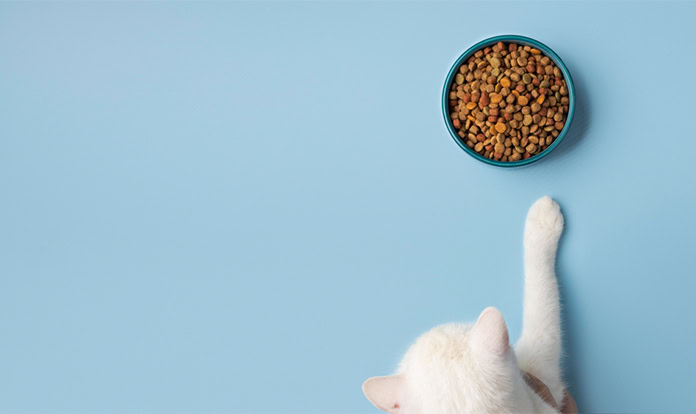 Alphia expands manufacturing network with new acquisition