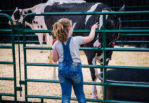 American Dairy XPO to showcase innovations for dairy farmers