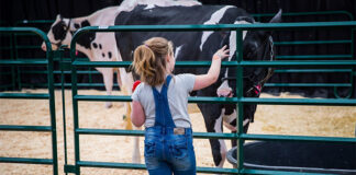 American Dairy XPO to showcase innovations for dairy farmers