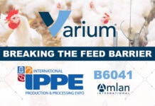 Amlan International to focus on gut health and feed efficiency at IPPE