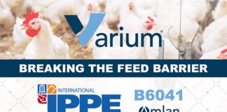 Amlan International to focus on gut health and feed efficiency at IPPE