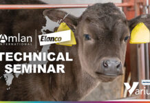 Amlan and Elanco to host calf health education seminars in Japan