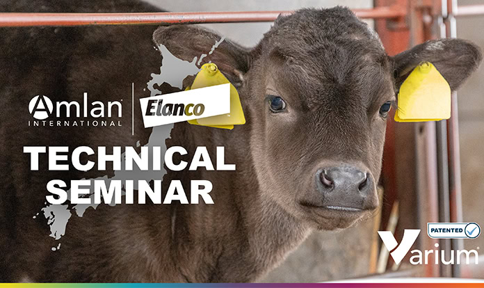 Amlan and Elanco to host calf health education seminars in Japan