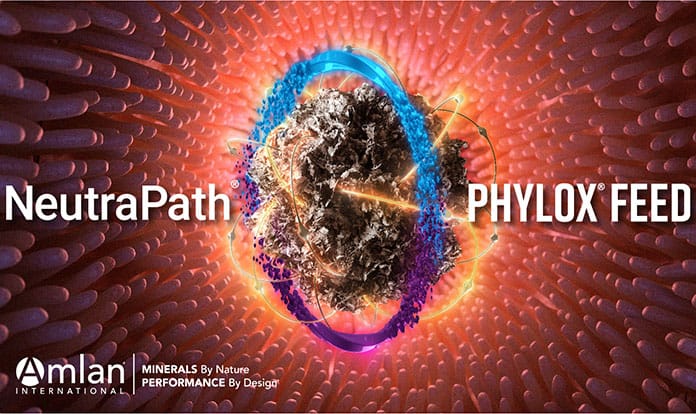 Amlan launches two new natural alternatives to antibiotics