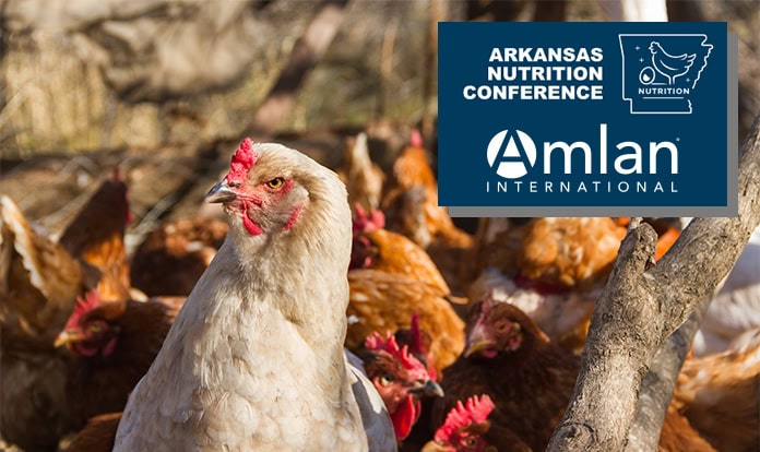 Amlan to sponsor 2026 Arkansas Nutrition Conference Technical Symposium