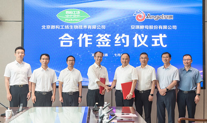 Angel Yeast partners with PhaBuilder to open PHA factory