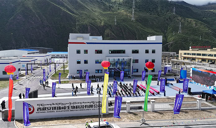 Angel Yeast realizes plateau probiotic project