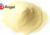 Angel Yeast to push for industrialization of yeast protein to sustainably feed the world