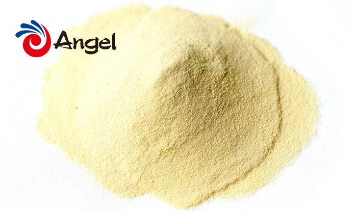 Angel Yeast to push for industrialization of yeast protein to sustainably feed the world