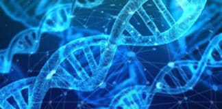 Animal feed production facility from Calysseo