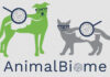 AnimalBiome raises bar on microbiome testing for companion animals