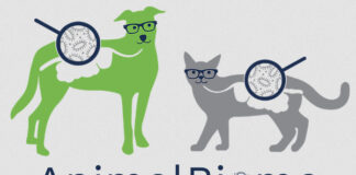 AnimalBiome raises bar on microbiome testing for companion animals