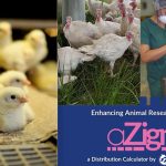 Animistic launches aZign, new tool for researchers