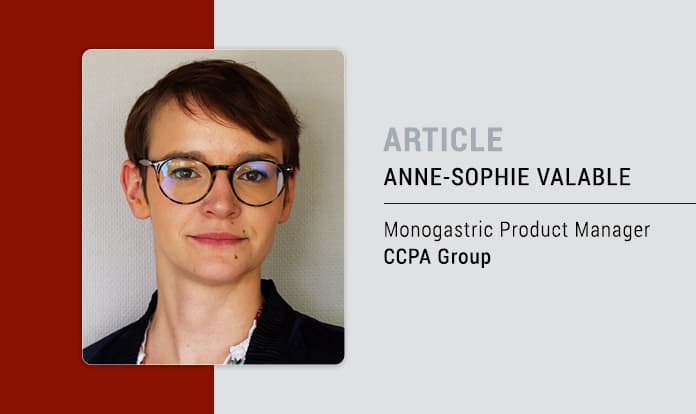 Weaning piglets without therapeutic zinc oxide: IT’S POSSIBLE AND EFFICIENT!