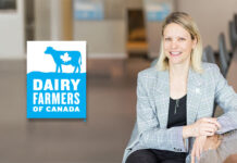 Annie AcMoody to lead Dairy Farmers of Canada as CEO