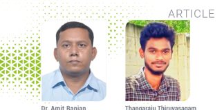 Application of synbiotics in shrimp culture