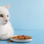 Applications opened for Purina’s 10th Pet Care Innovation Prize