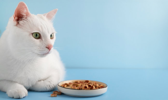 Applications opened for Purina’s 10th Pet Care Innovation Prize