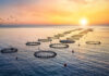 Aquafeed shifts reshape Europe’s aquaculture footprint