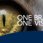 Argenta combines legacy brands to further advance animal health