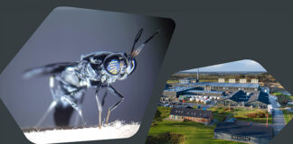 Arla Foods Ingredients harnesses upcycling power of insects