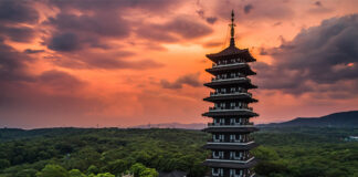 Asia’s Animal Feed Industry Enters New Era