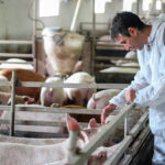 Astra Therapeutics raises CHF 7.75M for animal health innovation